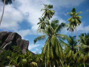 La Digue - The Rock_001-smal.jpg