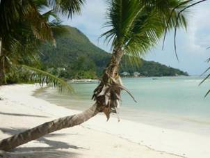 Praslin - Grand Anse_001-smal.jpg