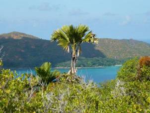 praslin - Panorama_005-smal.jpg