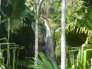 vallee de mai_012-smal.jpg