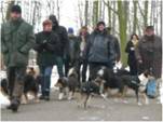 collie treff 24.01.2010_011_smal.jpg