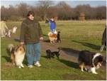 Collie Spaziergang am 22.11.09_002_smal.jpg