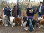 Collie Spaziergang am 22.11.09_003_smal.jpg