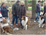 Collie Spaziergang am 22.11.09_006_smal.jpg