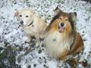 winter_2008_smal.JPG