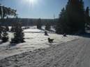 Harz-Januar 2009_004_smal.jpg