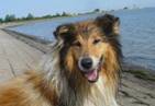 2008-Nordsee-01_smal.JPG