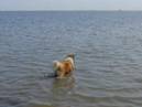2008-Nordsee-04_smal.JPG